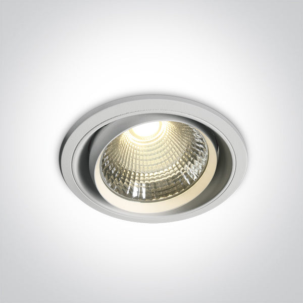 WHITE COB LED 50W CW 40deg WW 230V