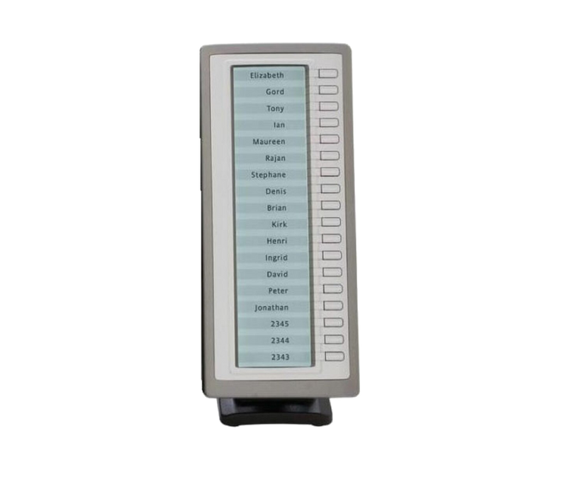 Avaya 1100 Series Expansion Module